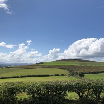 Wild Atlantic Tae - Coffee & Tea Near Me - Carrowreagh, DL Wild Atlantic Tae - Coffee & Tea Near Me - Carrowreagh, DL