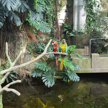 Rainforest Pyramid - Botanical Gardens Near Me - Galveston, Texas Rainforest Pyramid - Botanical Gardens Near Me - Galveston, Texas