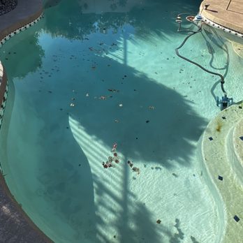 Got Pool Services - Pool Cleaners Near Me Got Pool Services - Pool Cleaners Near Me