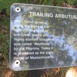 Bourndale Hills Trail - Info sign