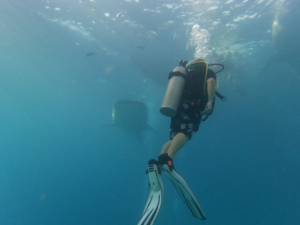 Mother Ocean Fund