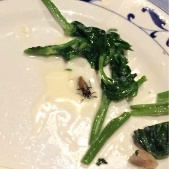 Great China - Yum. Kitchen floor bugs! - Chinese Near Me - Berkeley, California Great China - Yum. Kitchen floor bugs! - Chinese Near Me - Berkeley, California