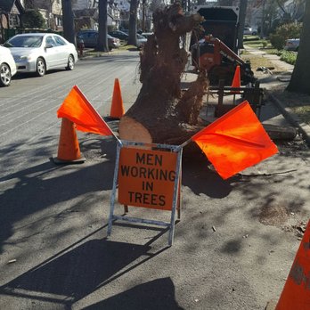 Arbor Ace Tree Service - Professional and clean service - Tree Services Near Me - Clifton, New Jersey