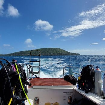 Aaron's Dive Shop - Sarah is super. - Dive Shops Near Me - Kailua, Hawaii Aaron's Dive Shop - Sarah is super. - Dive Shops Near Me - Kailua, Hawaii