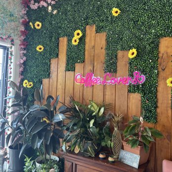 Vida Coffee Shop - Coffee & Tea Near Me - Franklin Square, New York Vida Coffee Shop - Coffee & Tea Near Me - Franklin Square, New York