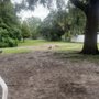 Photo of Carolyn Meeker Dog Park and Nature Trail