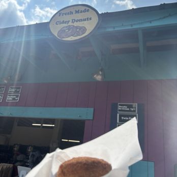 Cox Farms - Delicious warm apple cider donuts!! - Attraction Farms Near Me - Centreville, Virginia