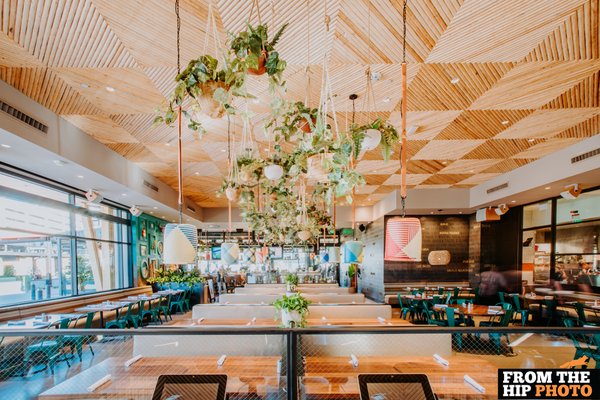 Blanco Cocina + Cantina by null
