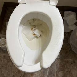 Our House Senior Living - Eau Claire - Clogged toilet.