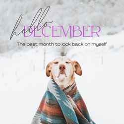 Long Island Meditation - Look back on this year from the perspective of universe