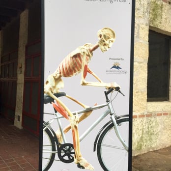 Witte Museum - Bodies Revealed - Museums Near Me - San Antonio, Texas