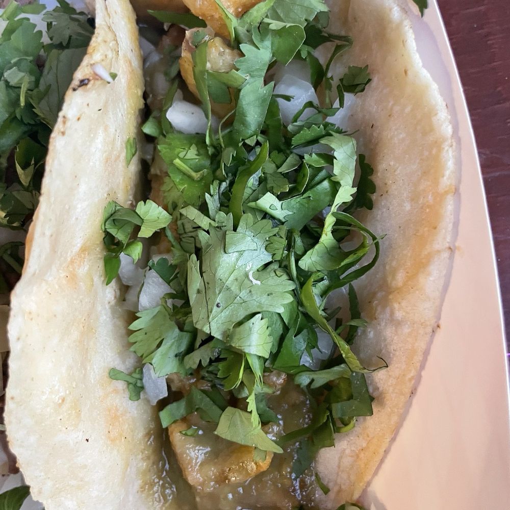 Taqueria Fenix - Chicharron Taco - Food Trucks Near Me - Austin, Texas