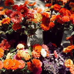 Rittenhouse Farmers’ Market