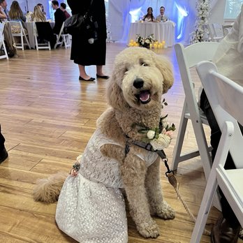 Ranch Events - Caterers Near Me - San Diego, California