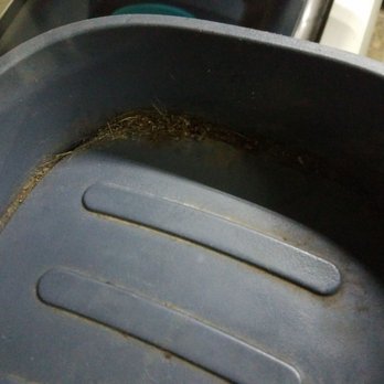 Anytime Fitness - Gross, time to clean the ellipticals - Trainers Near Me - Ferndale, Michigan