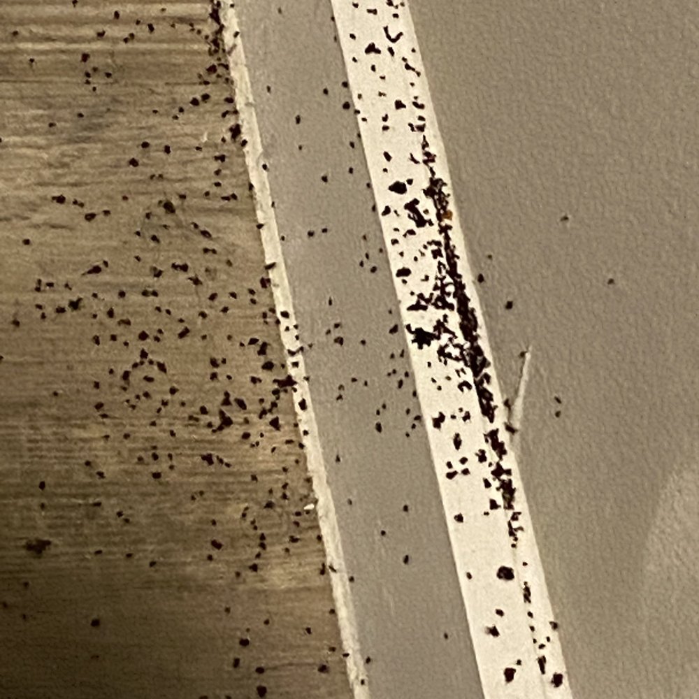 Wilder - ANTS - Apartments Near Me - Austin, Texas Wilder - ANTS - Apartments Near Me - Austin, Texas
