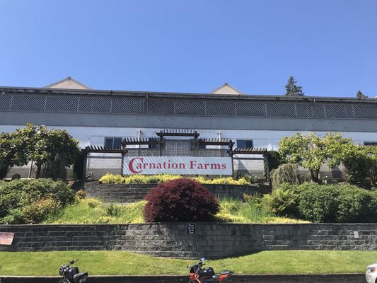 Carnation Farms by null