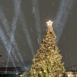 Distillery Winter Village - Christmas tree