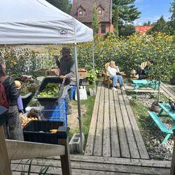 Tompol le Café - front dining area and organic vegetable stand