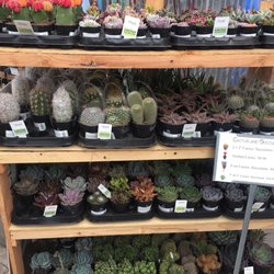 Four Seasons Nursery