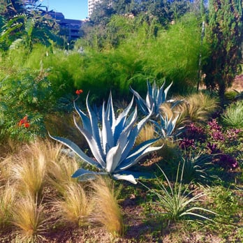 McGovern Centennial Gardens - Parks Near Me - Houston, Texas McGovern Centennial Gardens - Parks Near Me - Houston, Texas