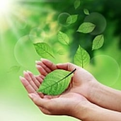 BetterMind