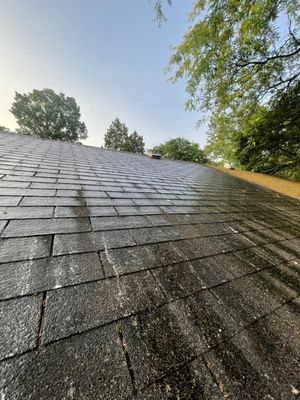 Pressure Wash Roof, Gutters, Siding - Founded by Christian Nicholson, 219Clean serves the community with dedication, integrity, and unparalleled attention to detail. With a strong commitment to excellence, we specialize in transforming weathered roofs and clogged gutters into functional and aesthetically pleasing parts of your home. Our mission is to provide top-notch services that not only meet but exceed our clients' expectations. Pressure Wash Roof, Gutters, Siding - Founded by Christian Nicholson, 219Clean serves the community with dedication, integrity, and unparalleled attention to detail. With a strong commitment to excellence, we specialize in transforming weathered roofs and clogged gutters into functional and aesthetically pleasing parts of your home. Our mission is to provide top-notch services that not only meet but exceed our clients' expectations.