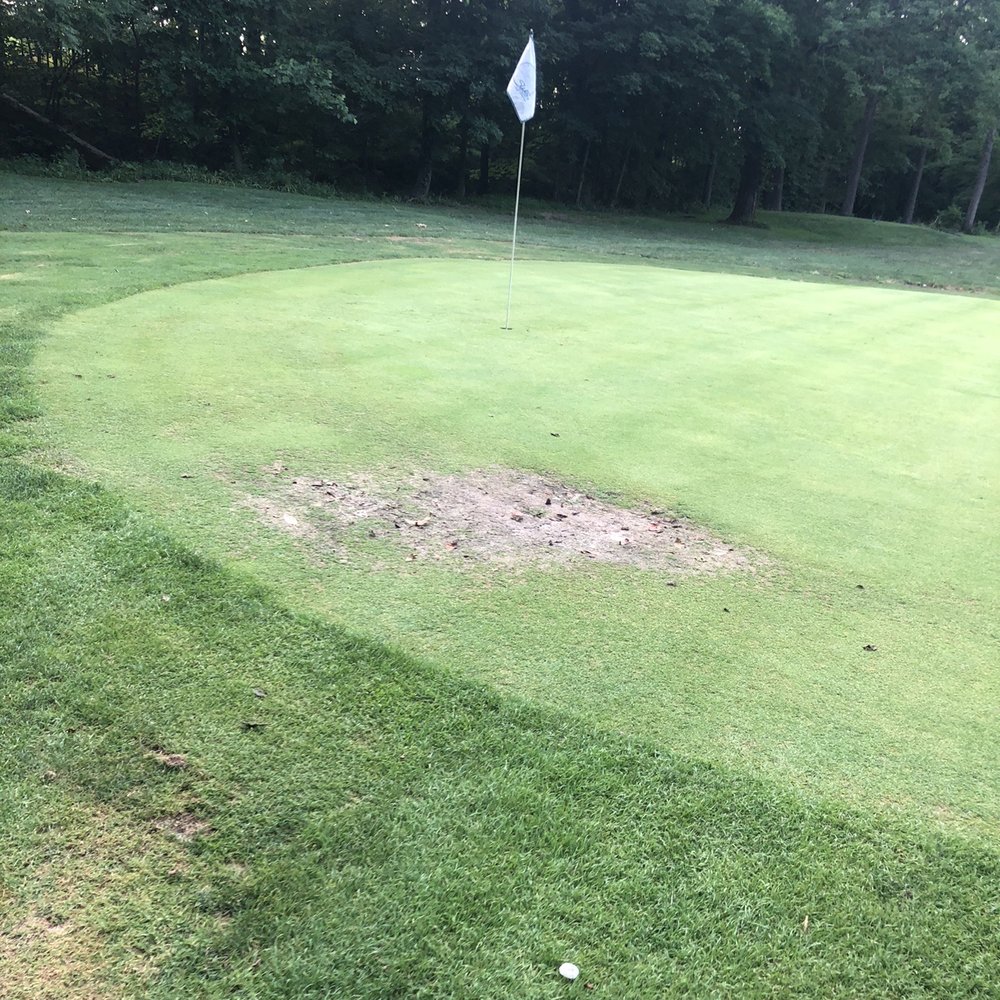 Sweet Water Golf Course - Huge bald patch right on the green - Golf Near Me - Pennsburg, Pennsylvania Sweet Water Golf Course - Huge bald patch right on the green - Golf Near Me - Pennsburg, Pennsylvania