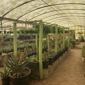 Cactus Mart - Greenhouse for succulents - Nurseries & Gardening Near Me - Morongo Valley, California