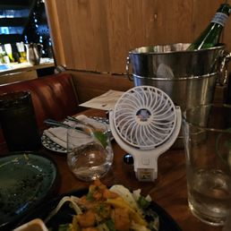 The mini fan my brother bought at Ace Hardware down the block so we could survive!!!!
