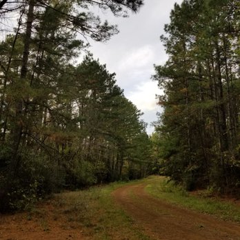 Sabine National Forest - Hiking Near Me - Hemphill, Texas Sabine National Forest - Hiking Near Me - Hemphill, Texas