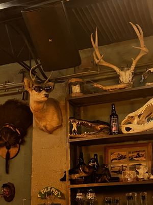 Invasive Species Brewing + Distilling by null