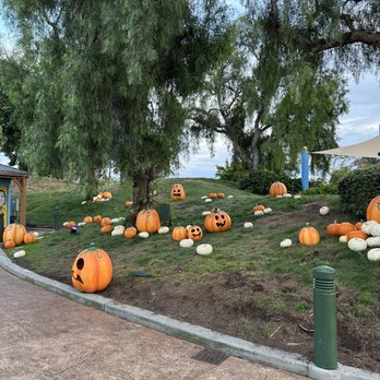 Legoland California Resort - Simple yet tasty Halloween decorations - Resorts Near Me - Carlsbad, California Legoland California Resort - Simple yet tasty Halloween decorations - Resorts Near Me - Carlsbad, California