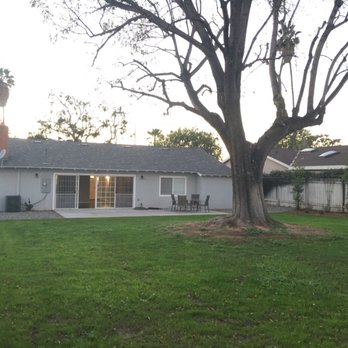 Connor's Landscape - This lawn was planted from seed. It's beautiful and lush now. - Irrigation Near Me