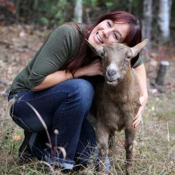 Enchanted Animal Parties - Party & Event Planning Near Me Enchanted Animal Parties - Party & Event Planning Near Me
