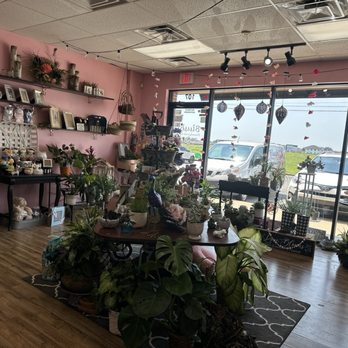 Blush Flowers & Gifts - Indoor - Florists Near Me - Bixby, Oklahoma Blush Flowers & Gifts - Indoor - Florists Near Me - Bixby, Oklahoma