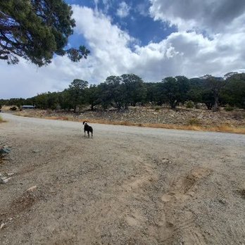 Zapata Falls Campground - Campgrounds Near Me - Mosca, Colorado