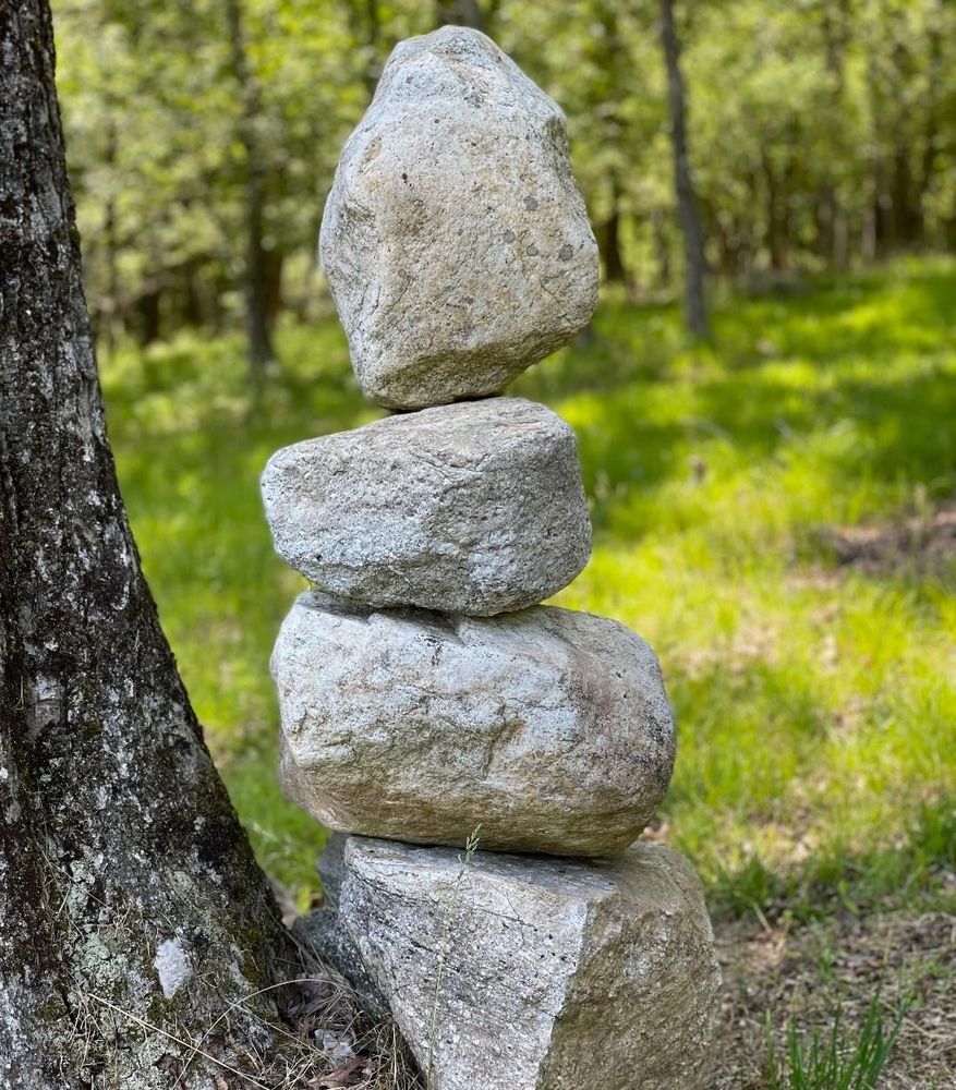 Dharmakaya Center for Wellbeing Logo