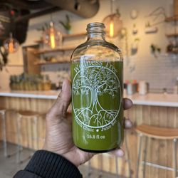 Wellness Tree - Hamilton - Green Goddess