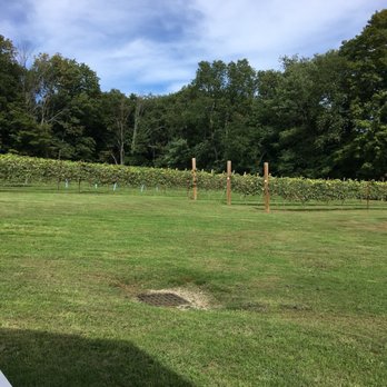Sweet Baby Vineyard - Wine Tasting Room Near Me - Hampstead, New Hampshire Sweet Baby Vineyard - Wine Tasting Room Near Me - Hampstead, New Hampshire