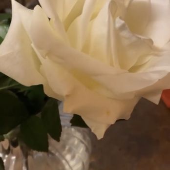 Las Flores De La Carreta - Florists Near Me - Miami, Florida
