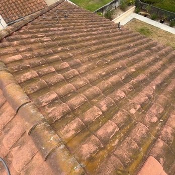 Radical Pressure Washing - Pre-wash: rear - Pressure Washers Near Me Radical Pressure Washing - Pre-wash: rear - Pressure Washers Near Me
