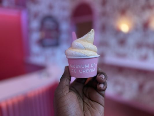 Museum of Ice Cream by null