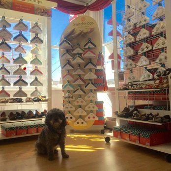STEP in 4 MOR - Store mascot Vino is ready to greet you! - Shoe Stores Near Me - Allentown, Pennsylvania