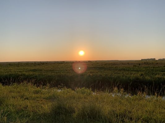 Alligator River National Wildlife Refuge by null