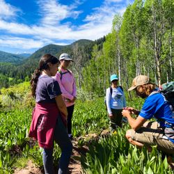 Walking Mountains - A guided backcountry hike near Vail with Walking Mountains.