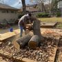 Photo of BCS Tree Solution
