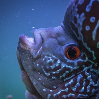 Petworld - Aquarium Services Near Me - Haltom City, Texas Petworld - Aquarium Services Near Me - Haltom City, Texas