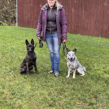 Ultimate K9 - Belynda Moore with two reactive dogs from two different owners, finally able to be calm together in Graham - Pet Training Near Me - Graham, Washington Ultimate K9 - Belynda Moore with two reactive dogs from two different owners, finally able to be calm together in Graham - Pet Training Near Me - Graham, Washington