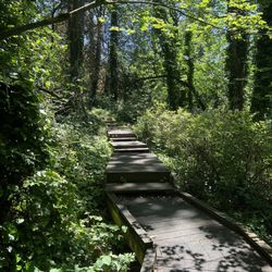 Columbia Springs - Trail to the lakes